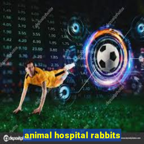 animal hospital rabbits